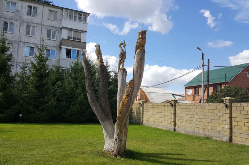 Отель На Суворова 41, Тольятти. Фото 13